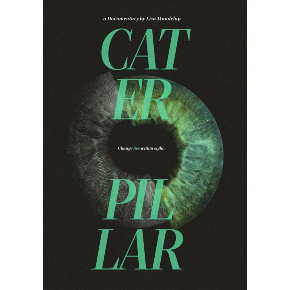 Caterpillar  DVD